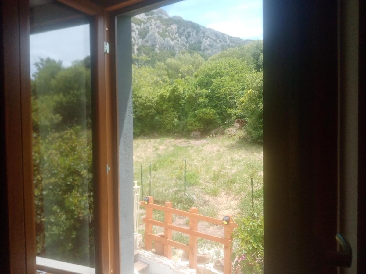 B&B Bella Vista Dorgali Εξωτερικό φωτογραφία