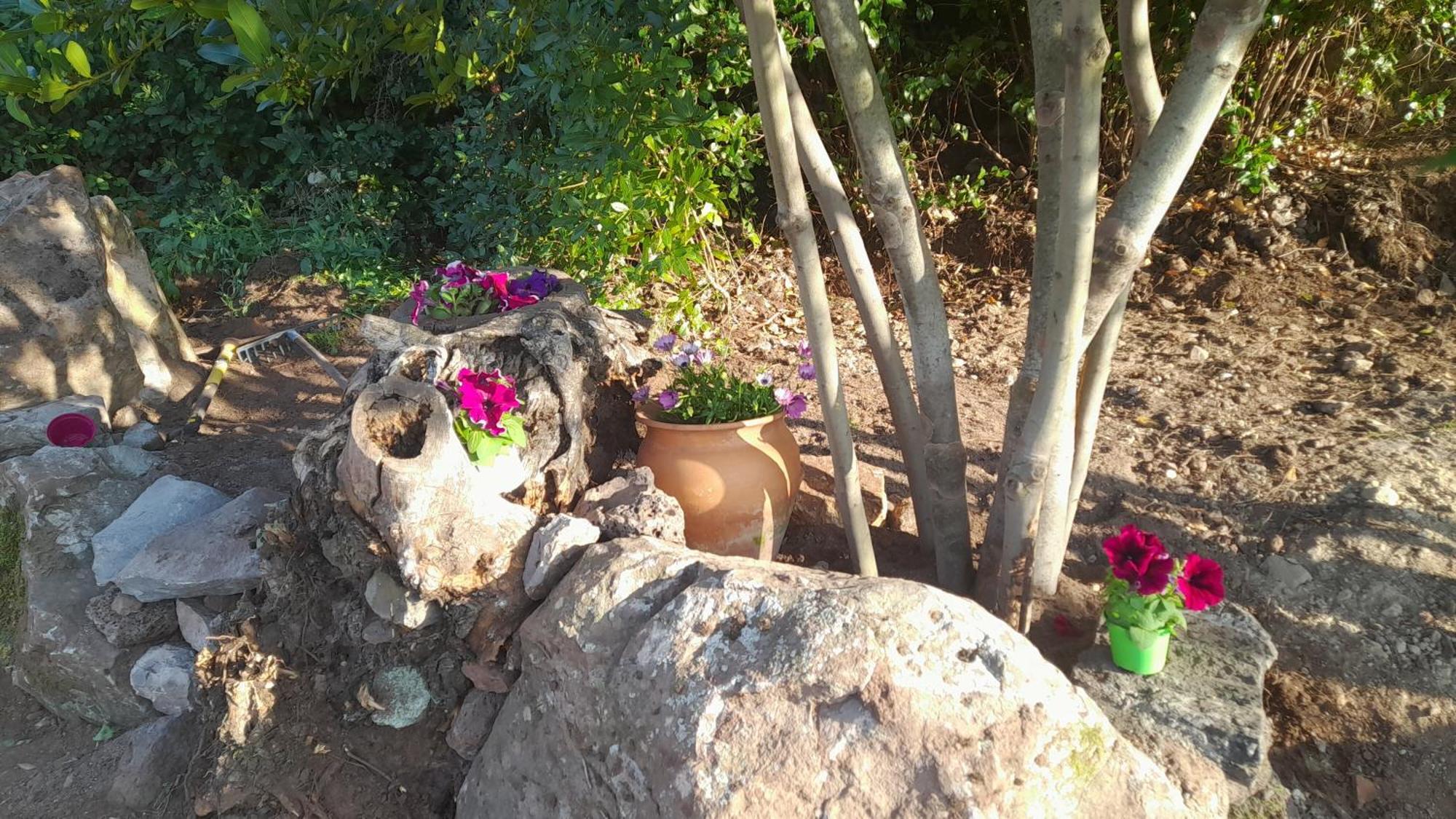 B&B Bella Vista Dorgali Εξωτερικό φωτογραφία