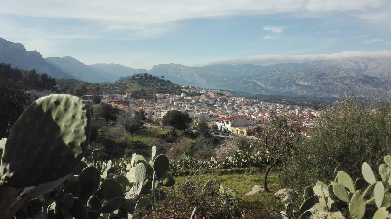 B&B Bella Vista Dorgali Εξωτερικό φωτογραφία